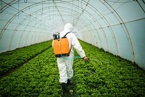 Professional Pest Control in Shavano Park, TX